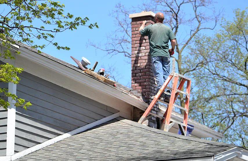Chimney & Fireplace Inspections Services in Round Lake, IL